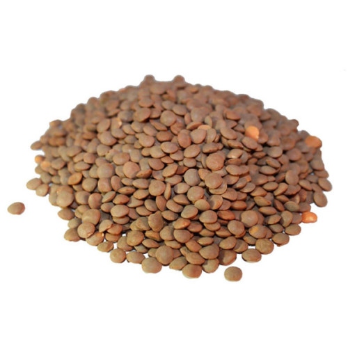 Buy Lentils