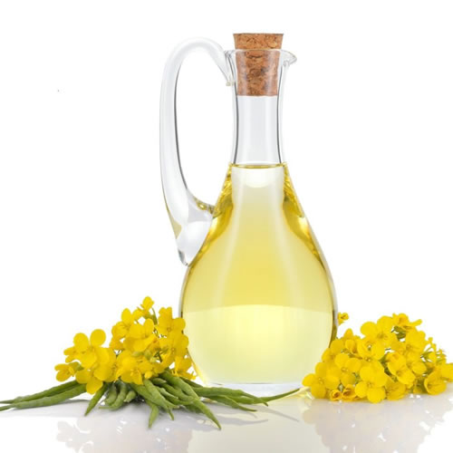 Canola Oil